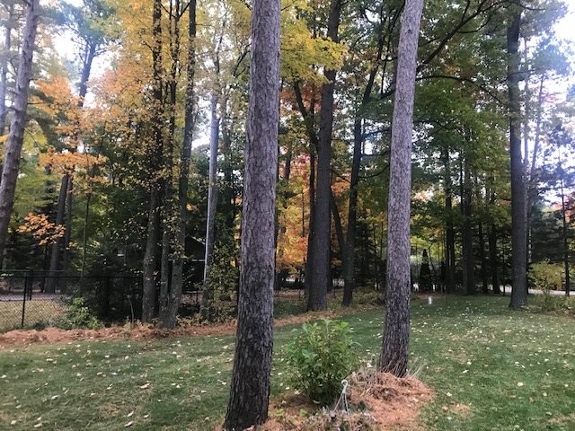 7095 Deepwater Point Road Williamsburg, MI 49690 - Photo 5 of 6 1882853-4.JPG