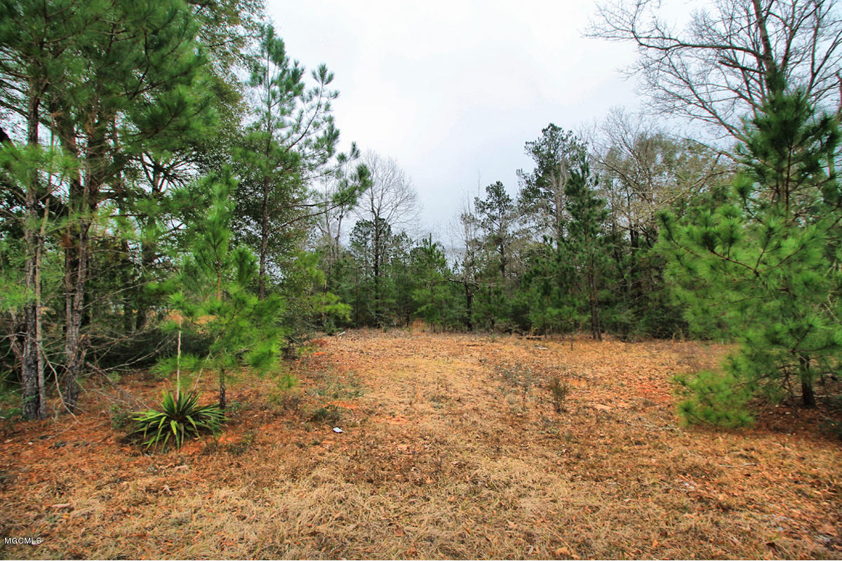 15.6-ac McInnis Vernal Road Lucedale, MS 39452 - Photo 1 of 18 IMG_0219