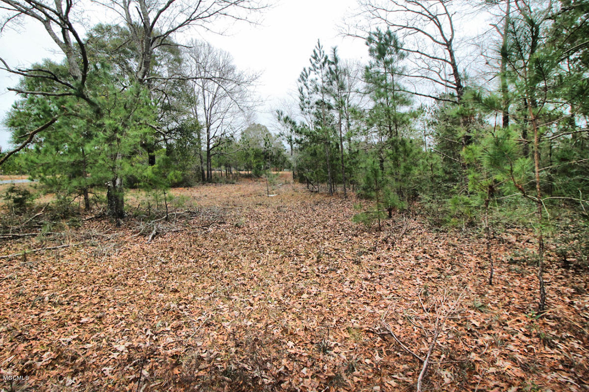 15.6-ac McInnis Vernal Road Lucedale, MS 39452 - Photo 11 of 18 IMG_0244