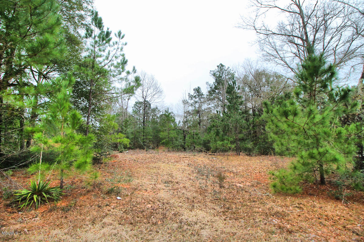 15.6-ac McInnis Vernal Road Lucedale, MS 39452 - Photo 2 of 18 IMG_0221