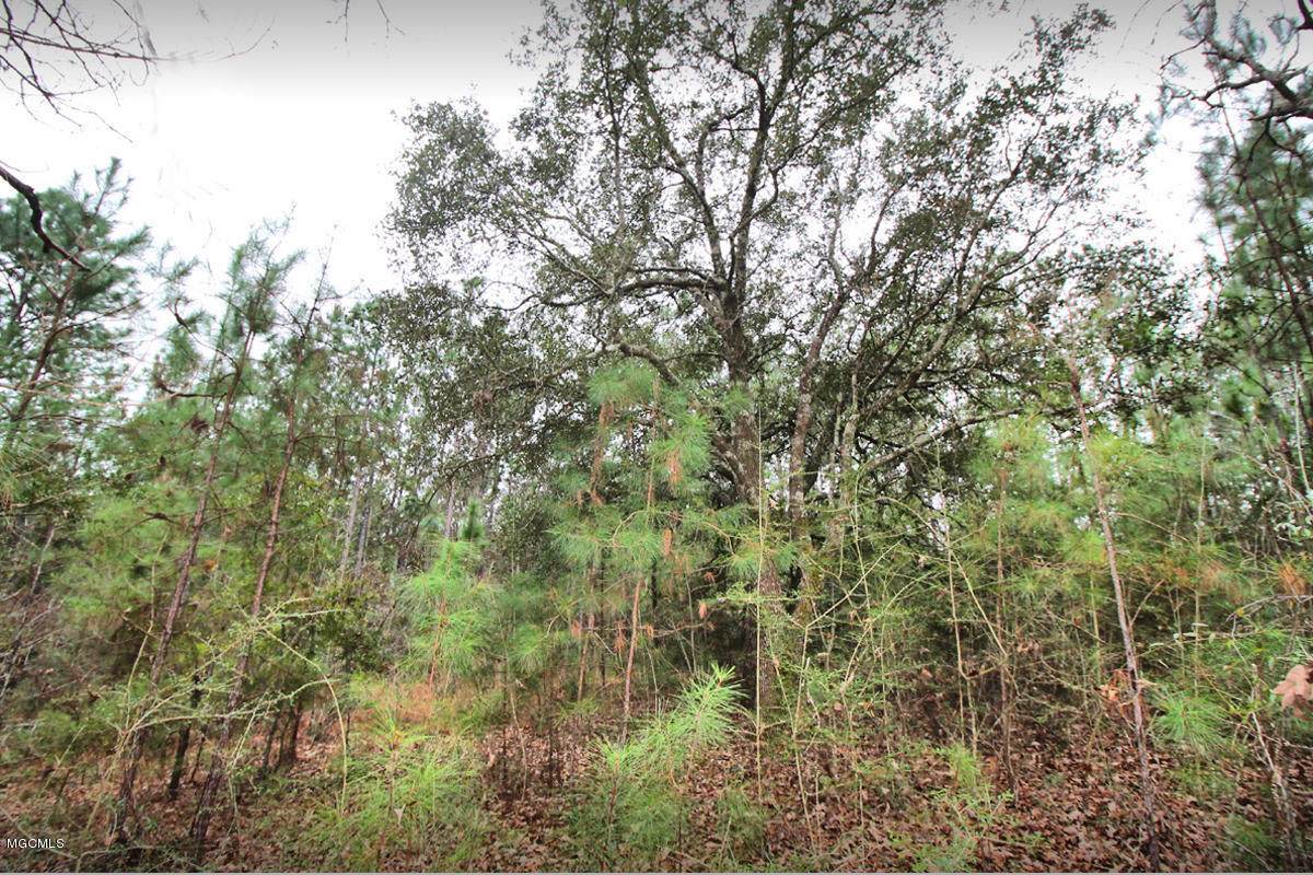 15.6-ac McInnis Vernal Road Lucedale, MS 39452 - Photo 6 of 18 IMG_0236