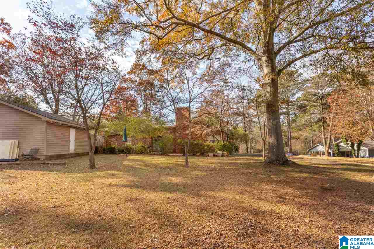53606 Highway 231 Oneonta, AL 35121 - Photo 33 of 37