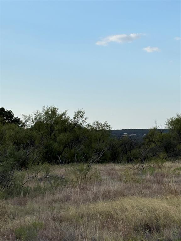 271 Wyatt Road Jacksboro, TX 76458 - Photo 8 of 40 Gallery Image 8