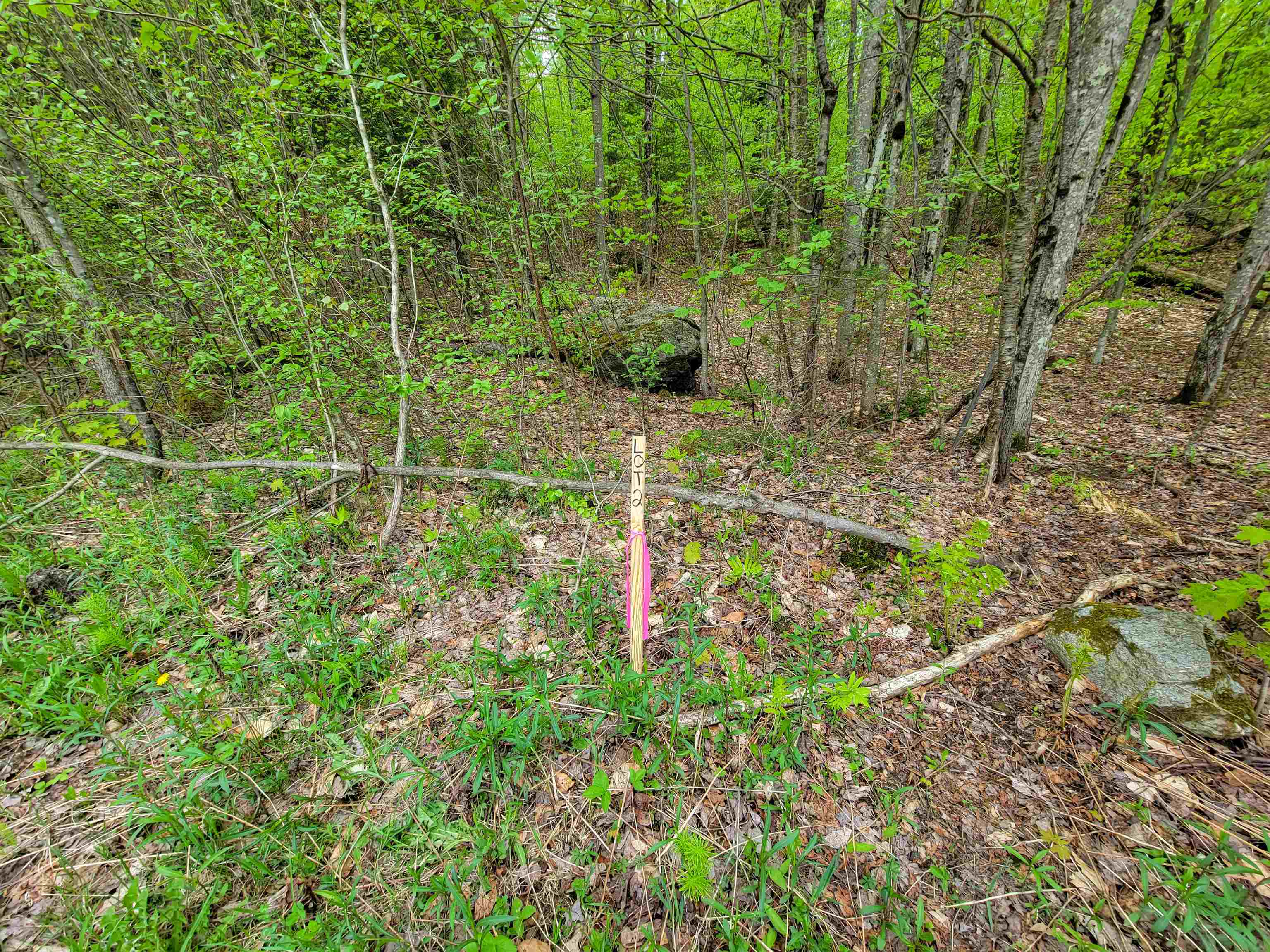 660 Brookview Lane Wolcott, VT 05680 - Photo 15 of 60