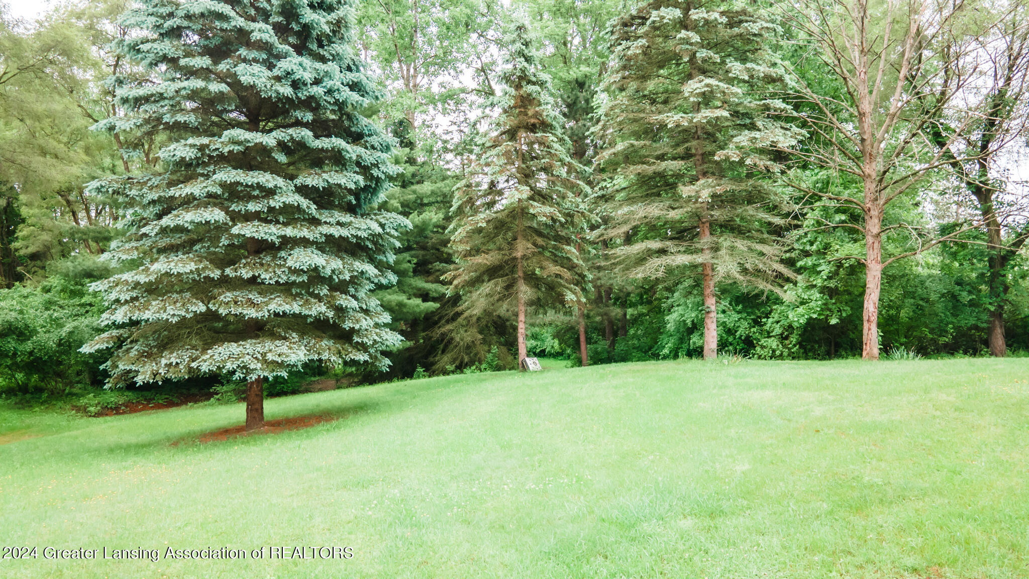 9040 Coleman Road Haslett, MI 48840 - Photo 49 of 52 9040COLEMAN50
