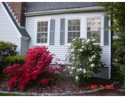 161 Woodcliff Road Newton, MA 02461 - Photo 4 of 30 a front view of a house with a yard and potted plants