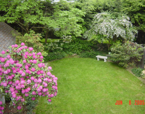 161 Woodcliff Road Newton, MA 02461 - Photo 8 of 30 a bunch of flowers in the garden