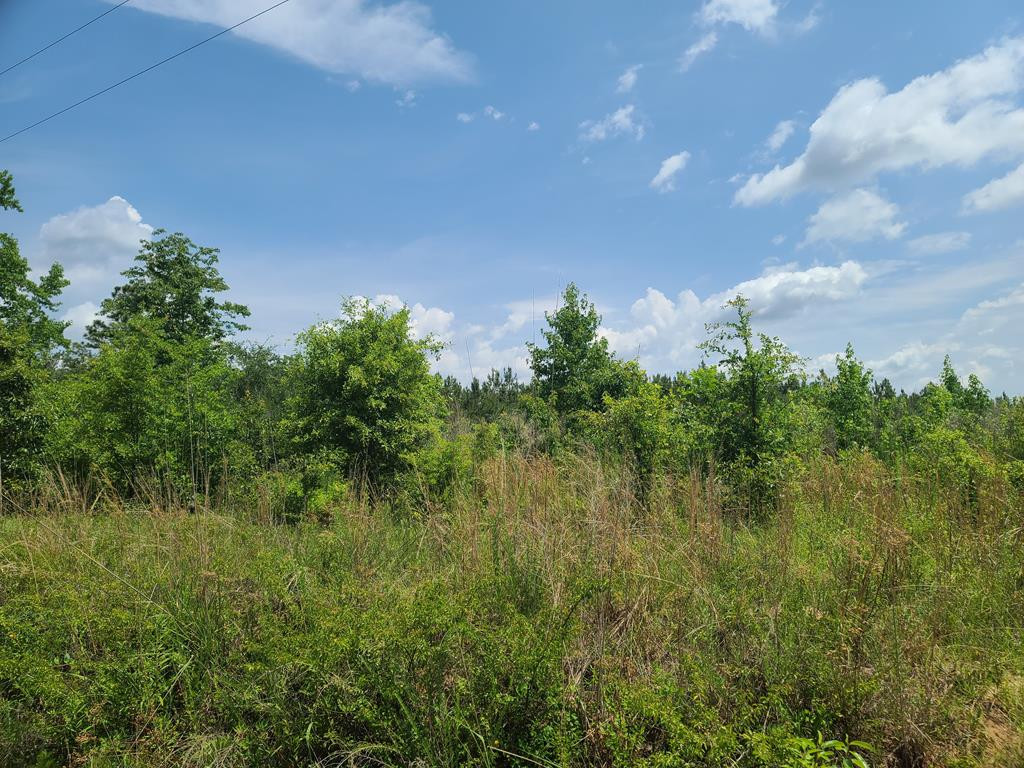 0 Rembert Church Road Dalzell, SC 29040 - Photo 11 of 20 Gallery Image 11