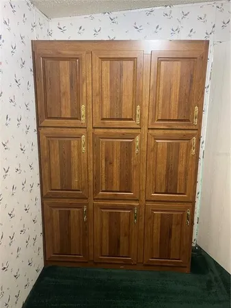 a view of wooden cabinet