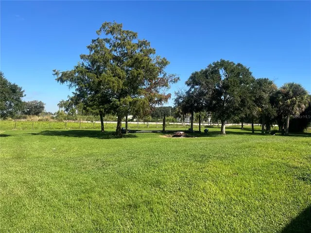 a view of a park with trees and grass