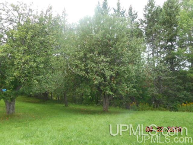 29162 South Wasas Road Mass City, MI 49948 - Photo 27 of 30
