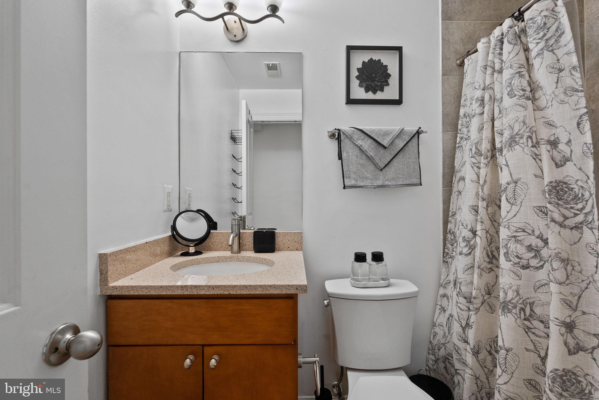 18 N Street Northwest, Unit 2 Washington, DC 20001 - Photo 20 of 24 a bathroom with a sink and mirror with toilet