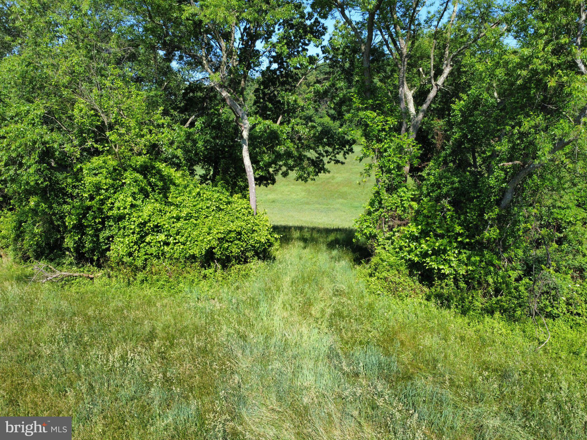 970 Doe Run Road East Fallowfield, PA 19320 - Photo 6 of 16 a view of a lush green space