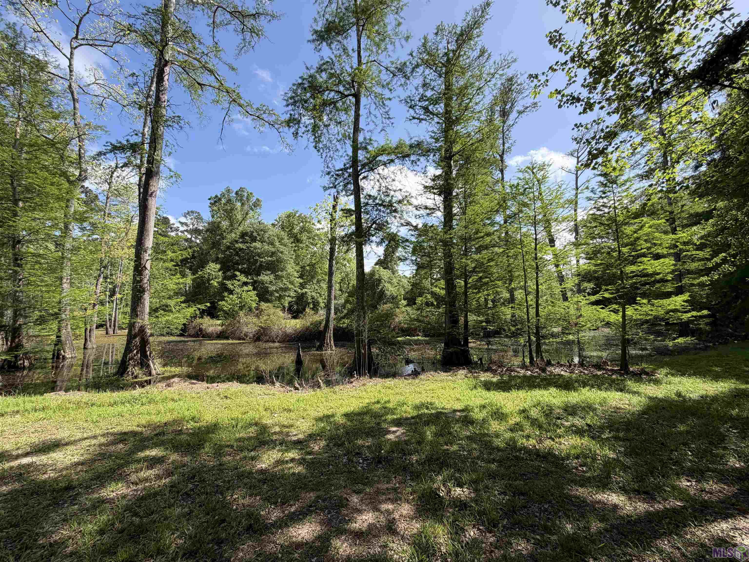 17635 Melancon Road Livingston, LA 70754 - Photo 33 of 40 Gallery Image 33
