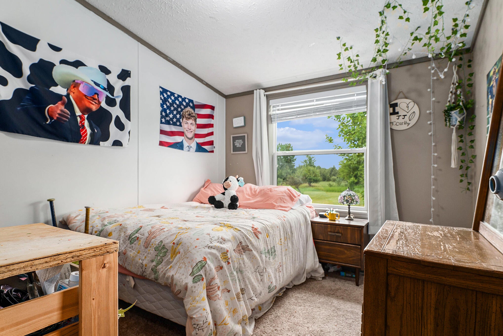 6530 Carey Road Cheboygan, MI 49721 - Photo 15 of 21 Gallery Image 15