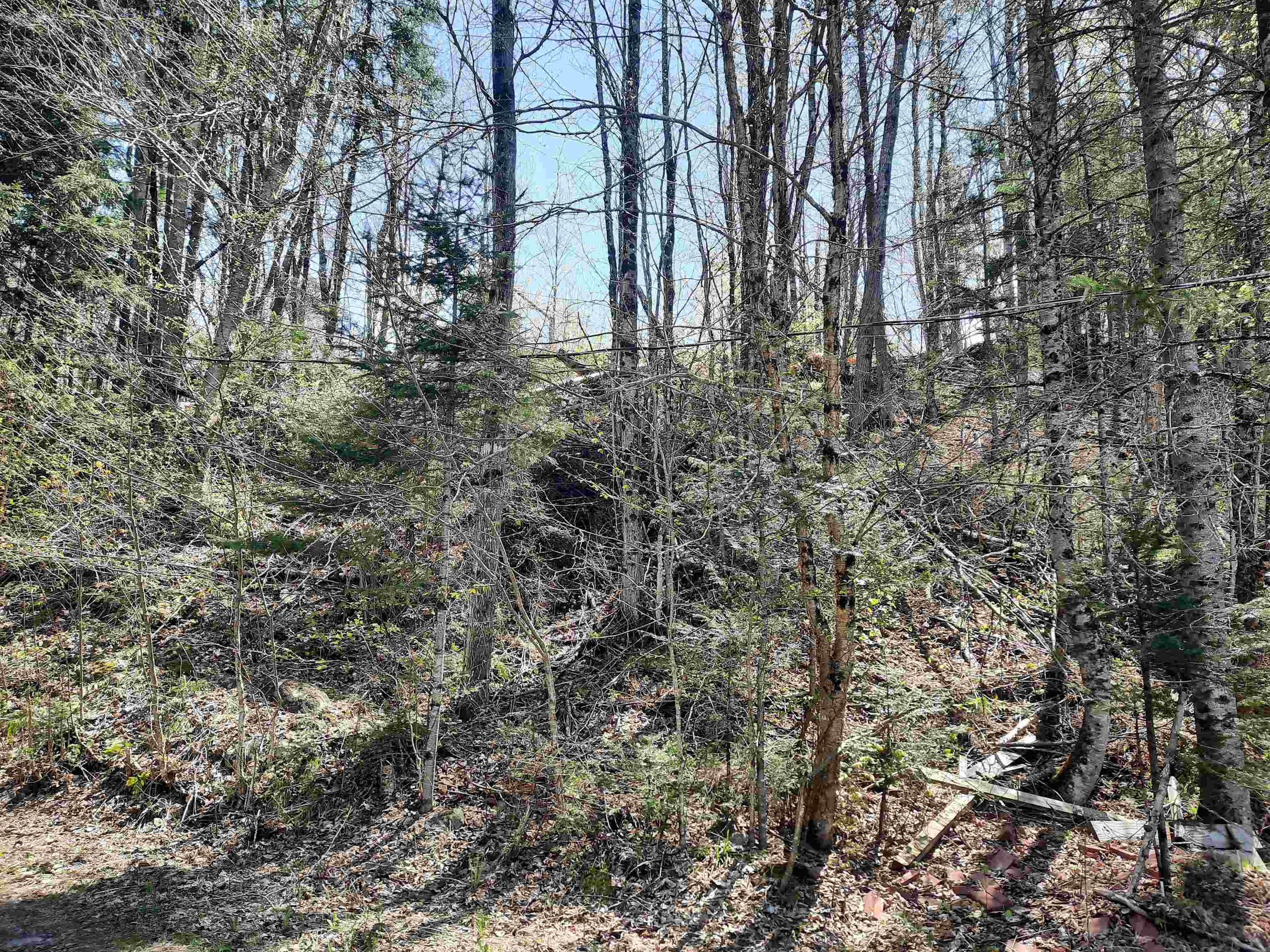 24 Marsh Road Columbia, NH 03590 - Photo 3 of 33