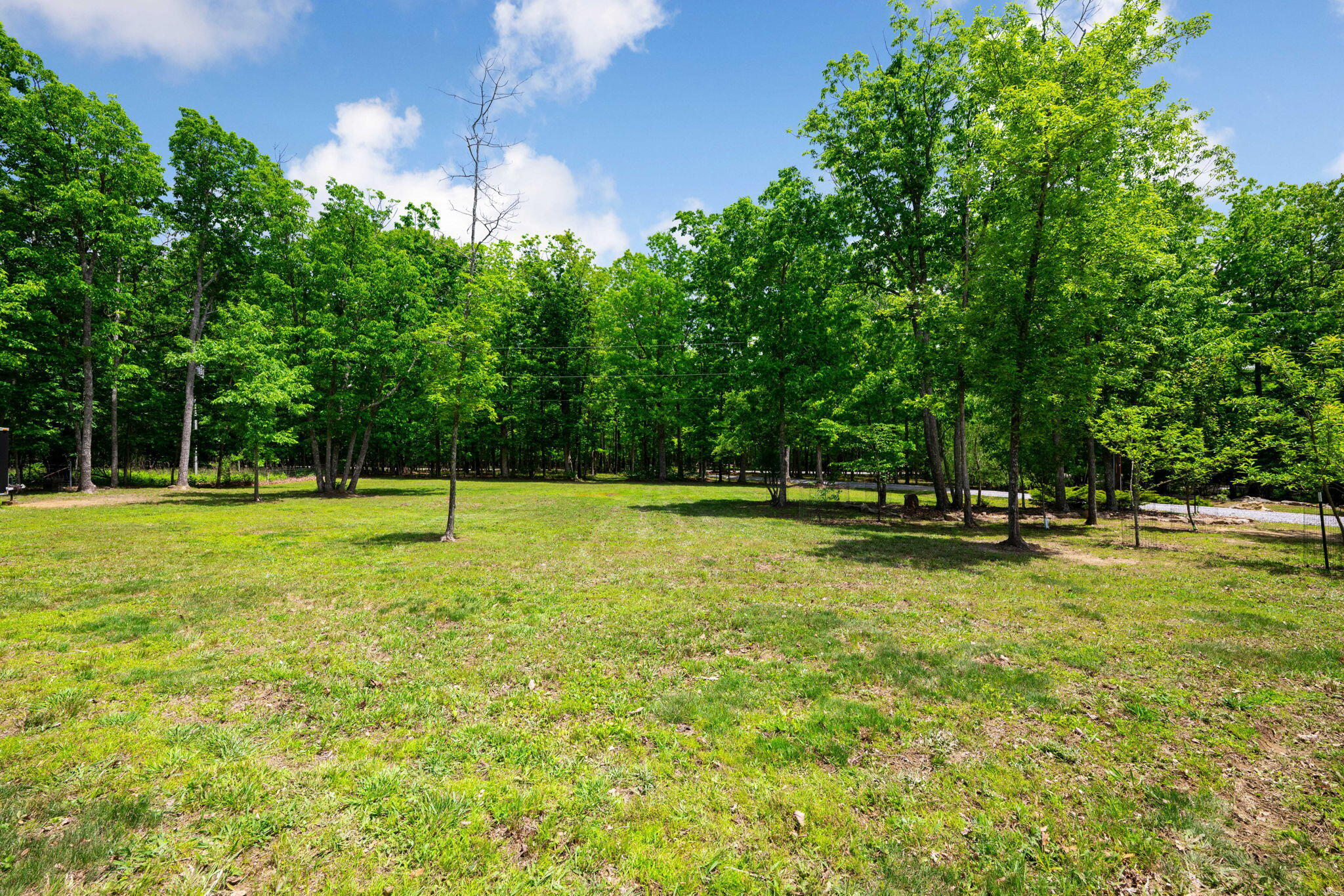 3099 Sunset Drive Rising Fawn, GA 30738 - Photo 64 of 85 62-web-or-mls-DSC_1650