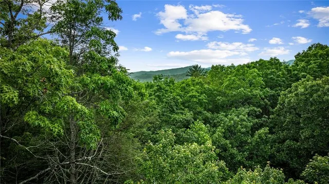 $1,285,000 | 453 Settler's Ridge Road, Ellijay, GA 30540