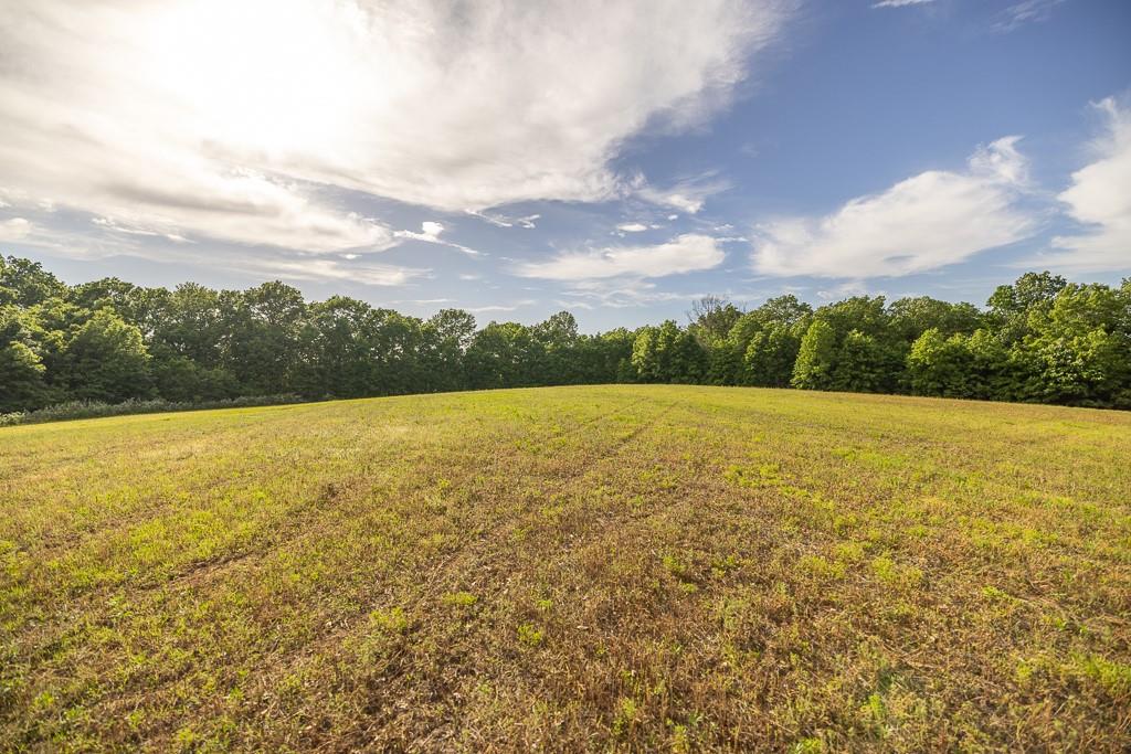 Tract A Northeast 900th Road Knob Noster, MO 65336 - Photo 28 of 42