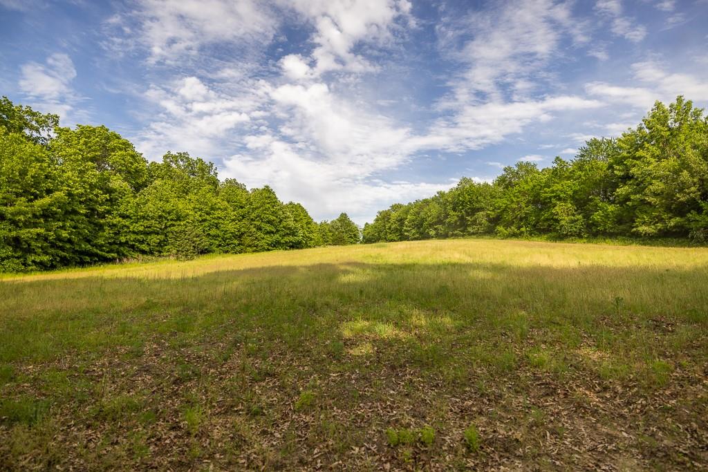 Tract A Northeast 900th Road Knob Noster, MO 65336 - Photo 30 of 42