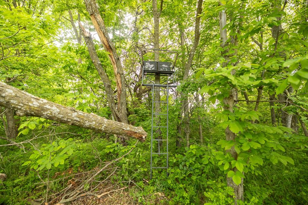 Tract A Northeast 900th Road Knob Noster, MO 65336 - Photo 34 of 42