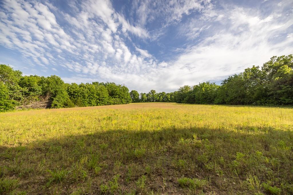 Tract A Northeast 900th Road Knob Noster, MO 65336 - Photo 42 of 42
