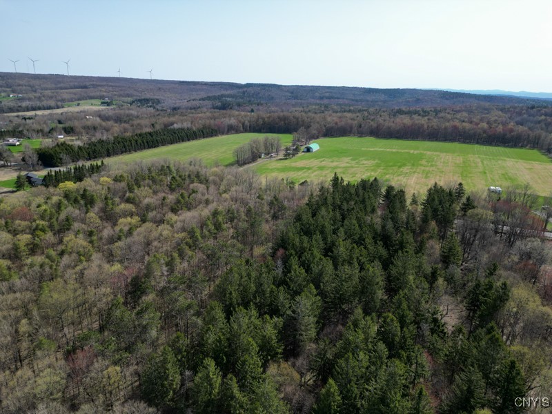 1271 Castle Road Newport, NY 13416 - Photo 6 of 9