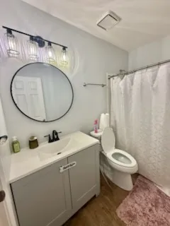 a bathroom with a sink a toilet and a mirror