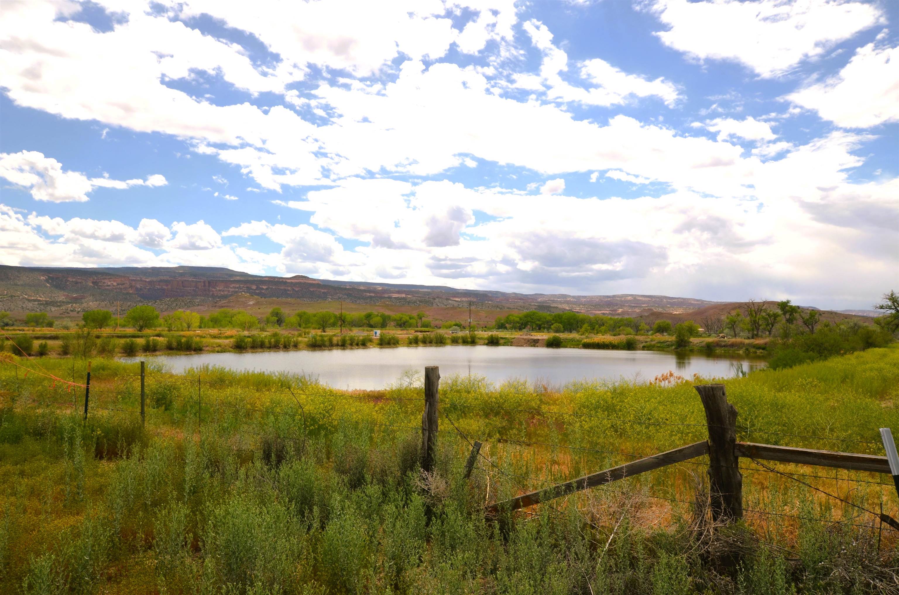 853 Raptor Road Fruita, CO 81521 - Photo 14 of 17 a view of lake from a city