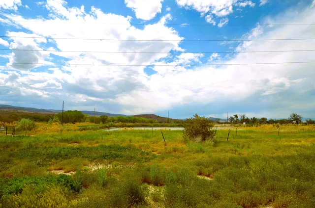 a view of an ocean and beach