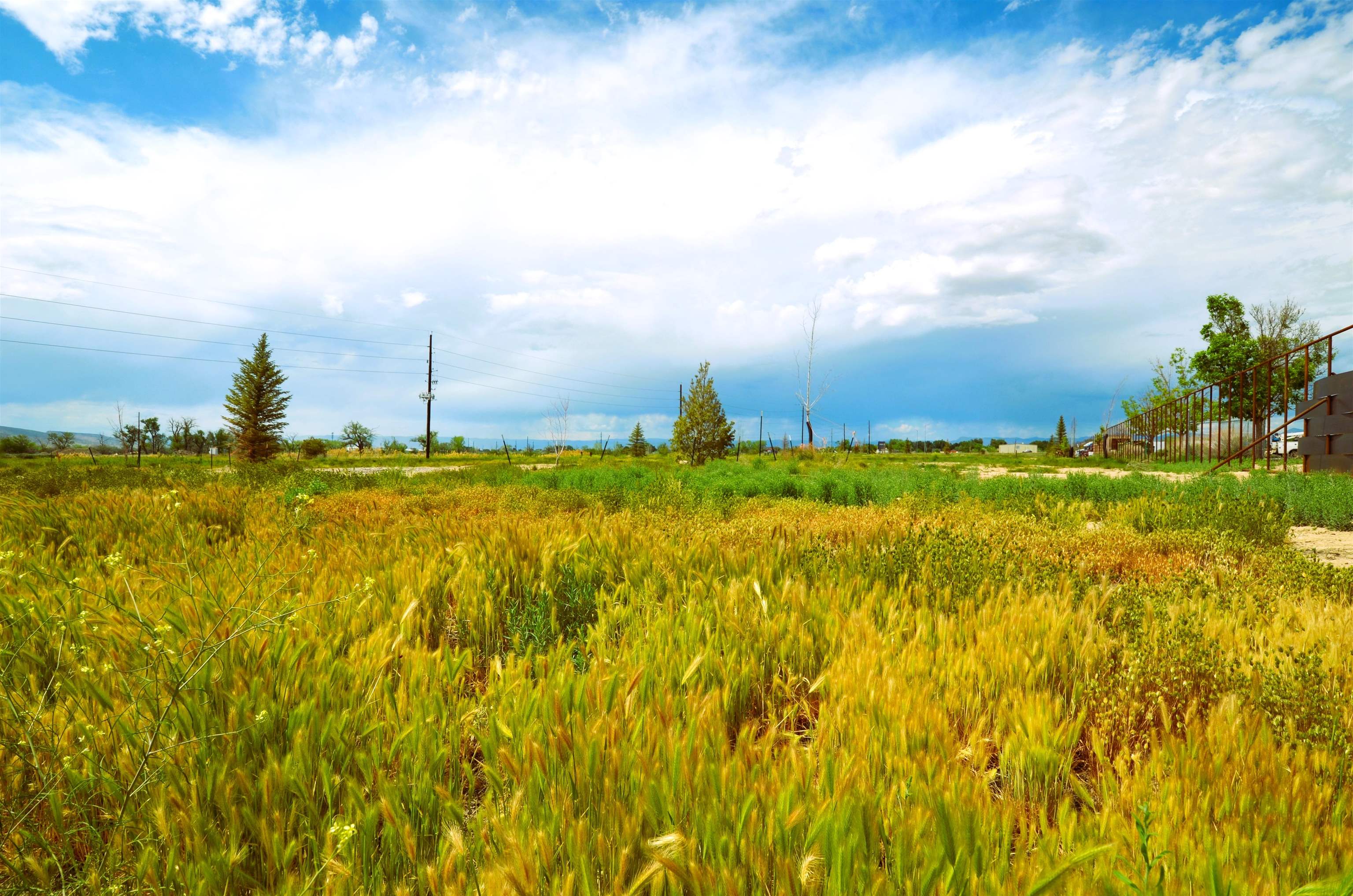 853 Raptor Road Fruita, CO 81521 - Photo 9 of 17 a view of an ocean