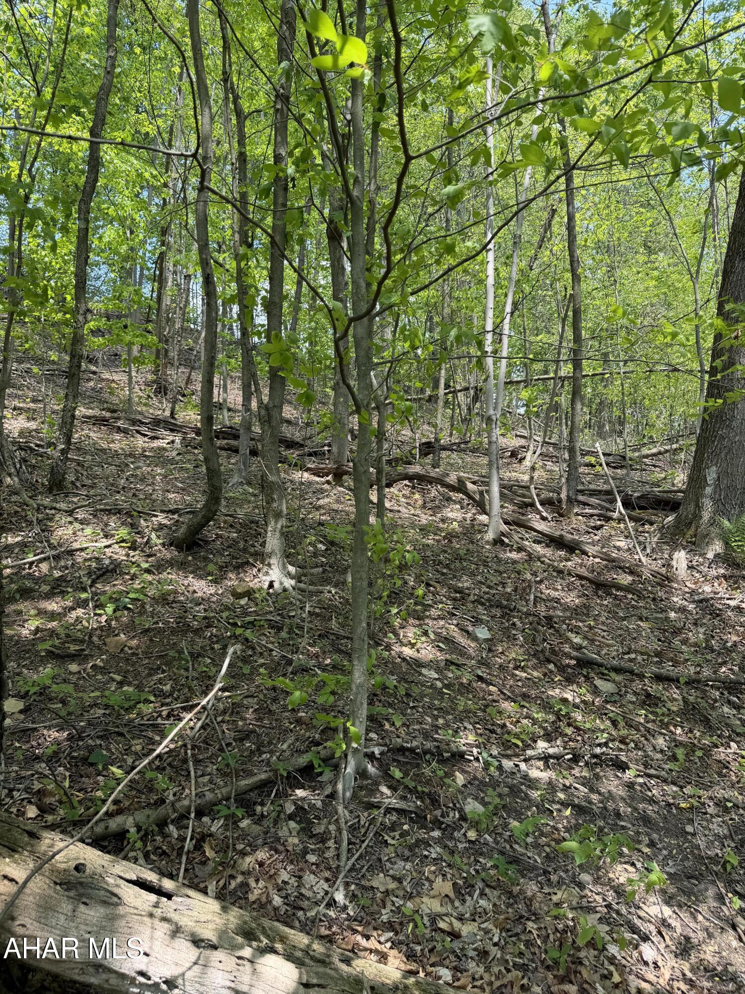 1438 Watt Road Gallitzin, PA 16641 - Photo 49 of 60