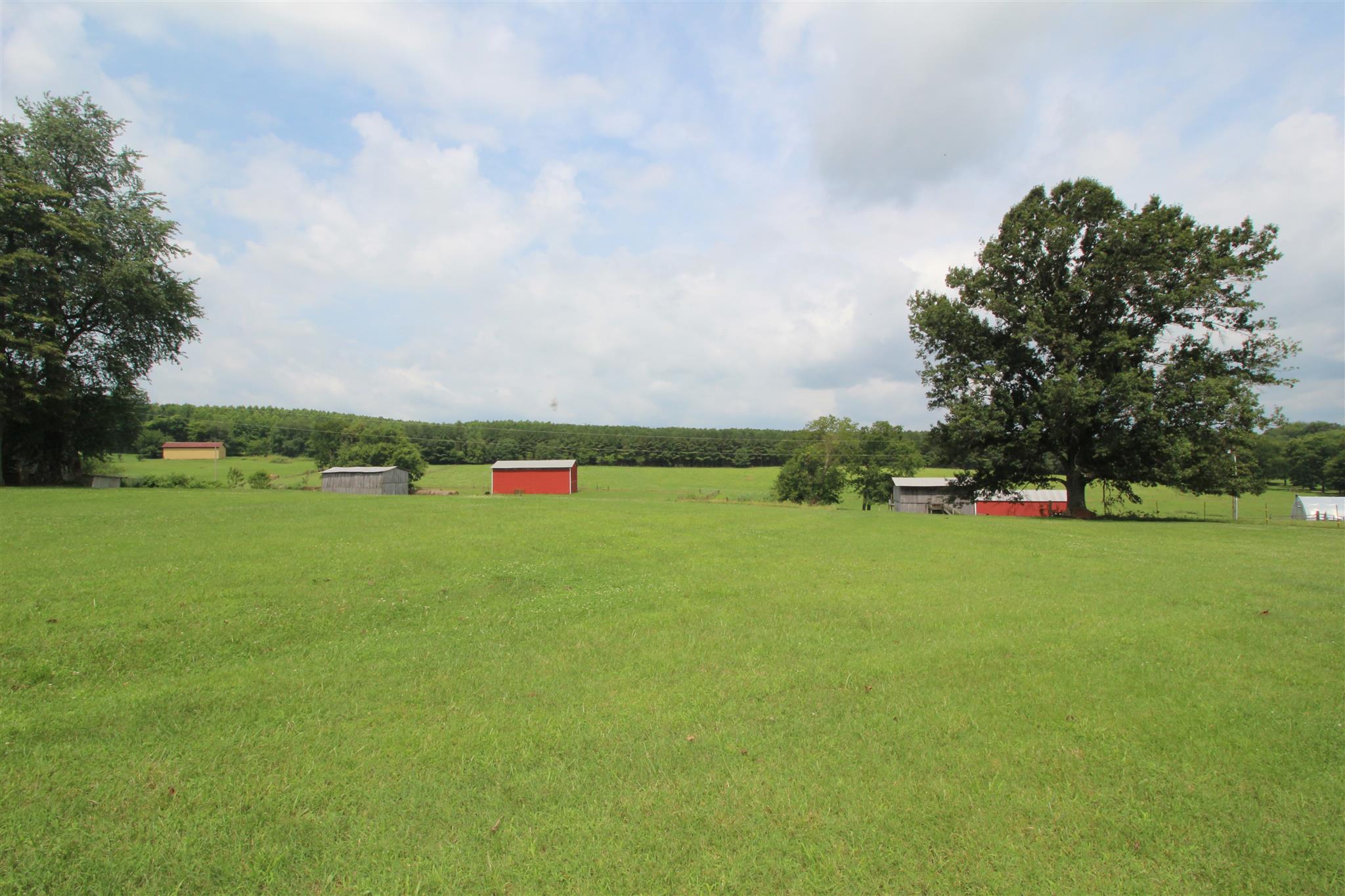 11 Bunch Road Dixon Springs, TN 37057 - Photo 18 of 21 Gallery Image 18