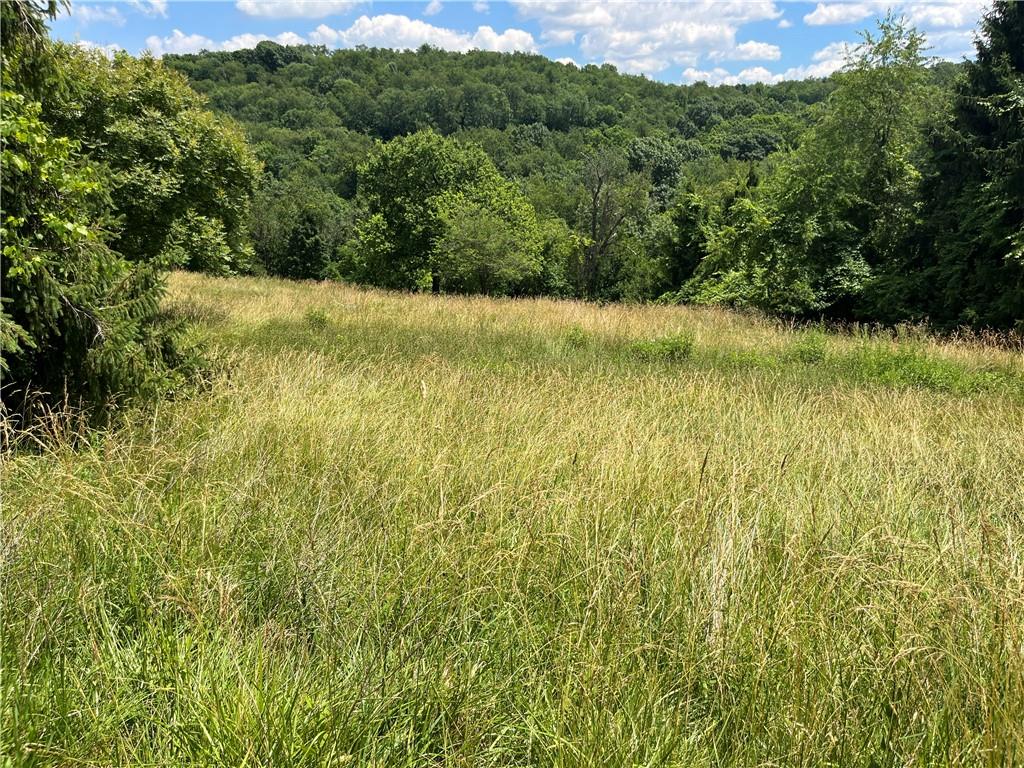 0 Calhoun Road Elizabeth, PA 15037 - Photo 7 of 12