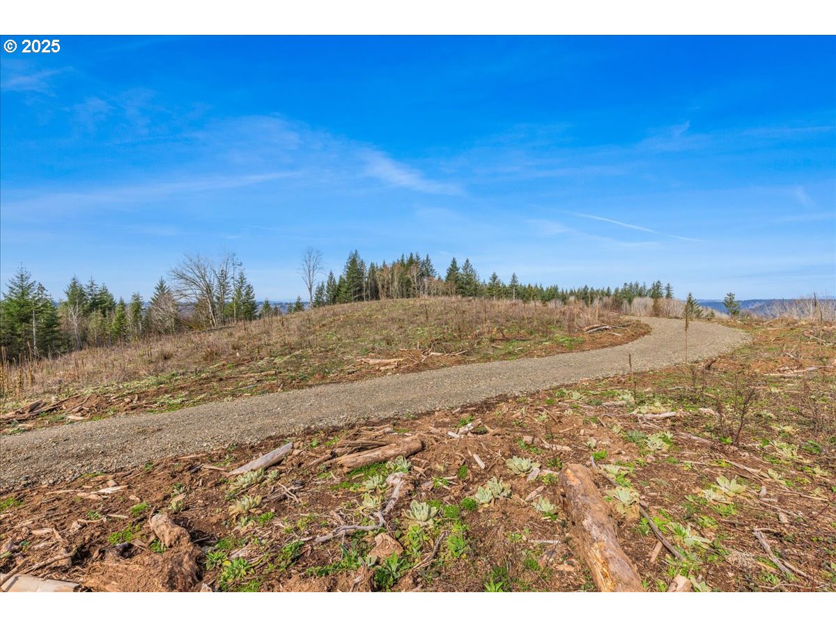 0 Southeast Herrick Road Sandy, OR 97055 - Photo 9 of 35 Gallery Image 9