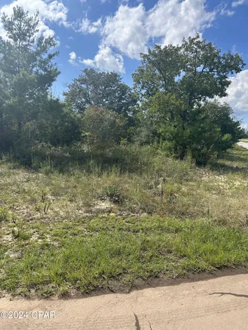 $22,900 | Unit6-lot19 Deltona Boulevard, Unit 6, Chipley, FL 32428