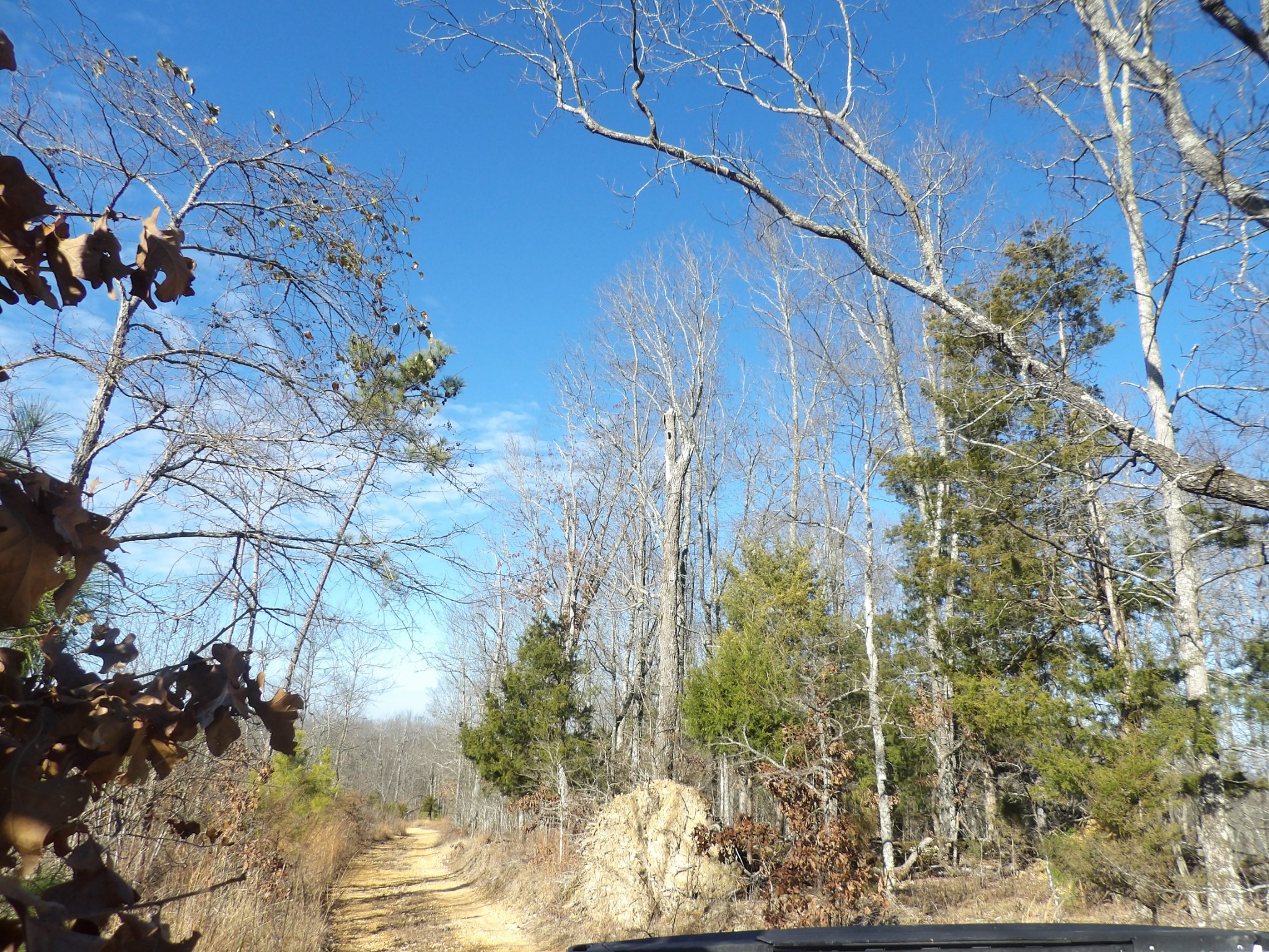 0 Smith Cemetery Road Waverly, TN 37185 - Photo 11 of 14 a view of a yard
