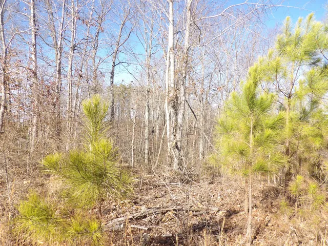 a view of an ocean view