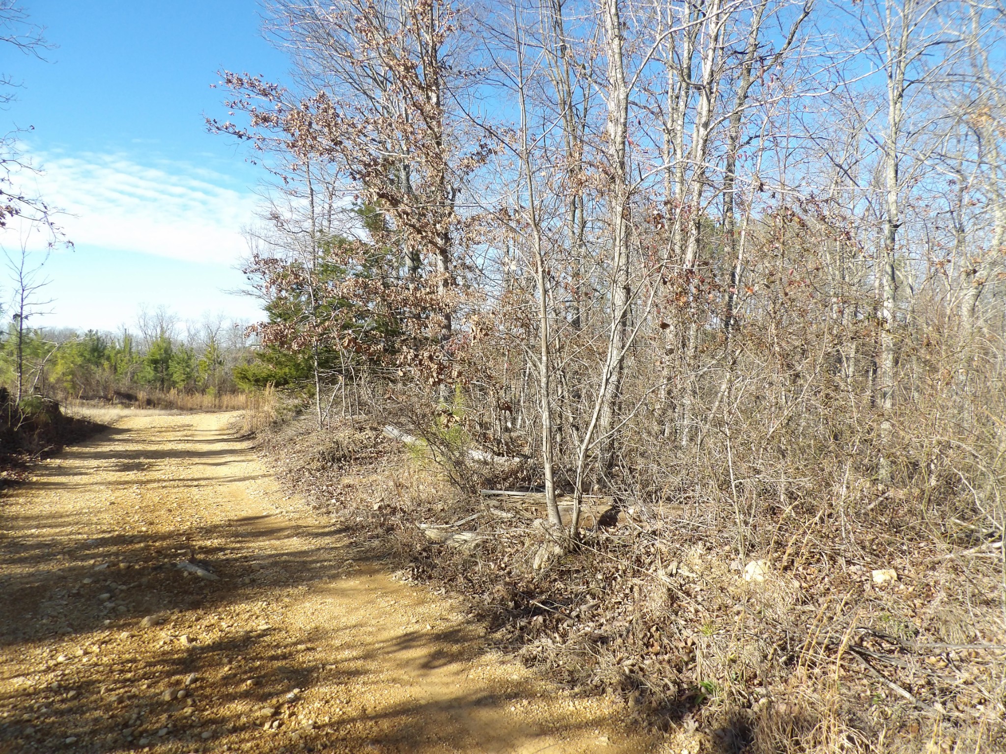 0 Smith Cemetery Road Waverly, TN 37185 - Photo 5 of 14 a view of an ocean view