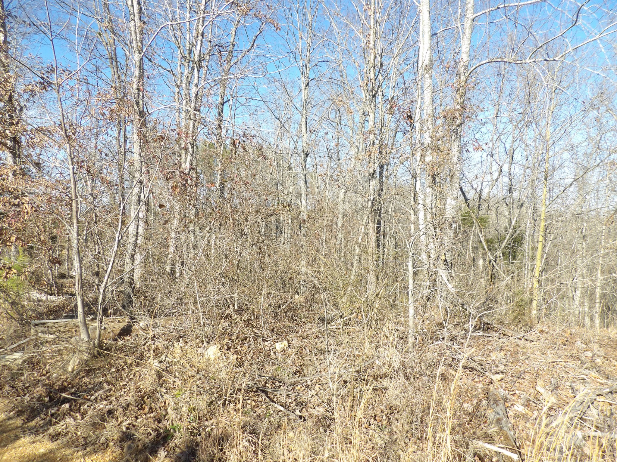 0 Smith Cemetery Road Waverly, TN 37185 - Photo 6 of 14 a bathroom with a shower curtain