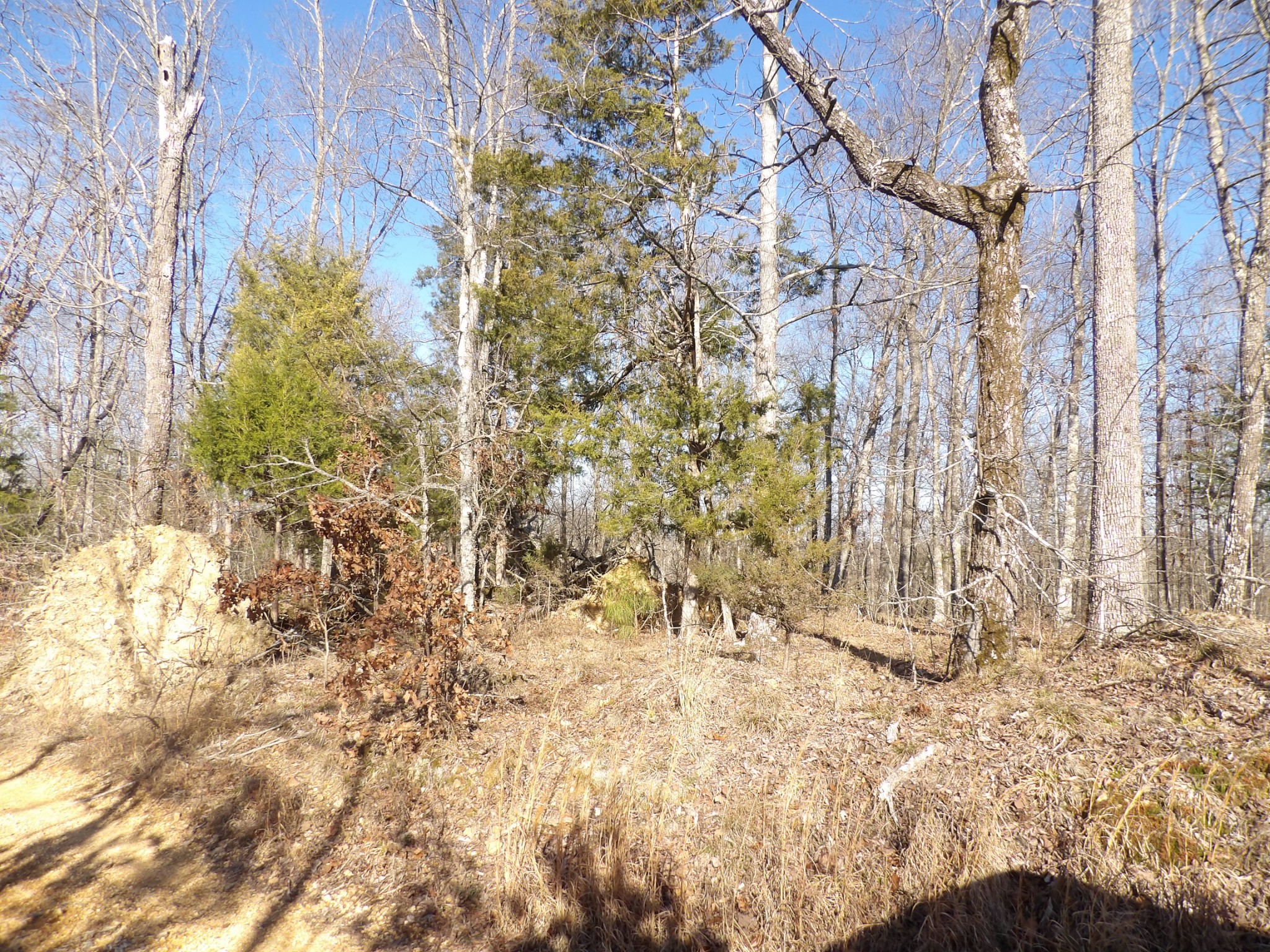 0 Smith Cemetery Road Waverly, TN 37185 - Photo 9 of 14