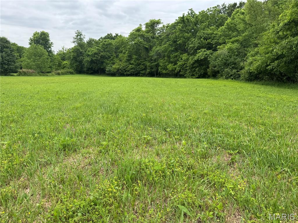 3 Hannah Rdg Trail Elsberry, MO 63343 - Photo 3 of 6