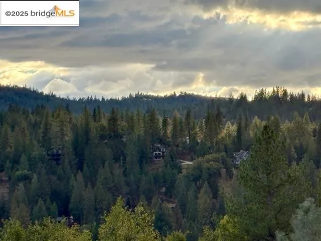 a view of a lake in the middle of a yard