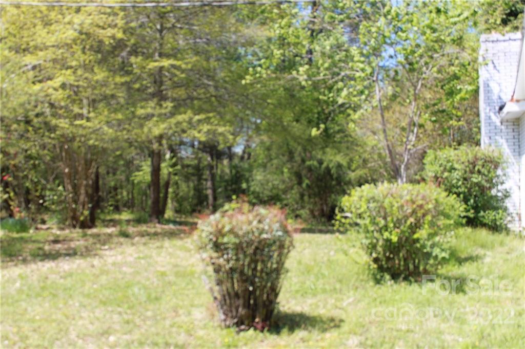 530 Edwards St Extension Rutherfordton, NC 28139 - Photo 12 of 48 a view of yard