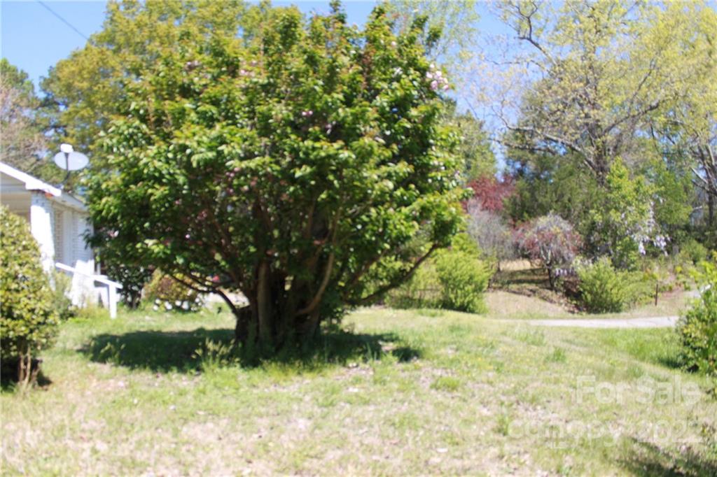 530 Edwards St Extension Rutherfordton, NC 28139 - Photo 13 of 48 a yard with a tree