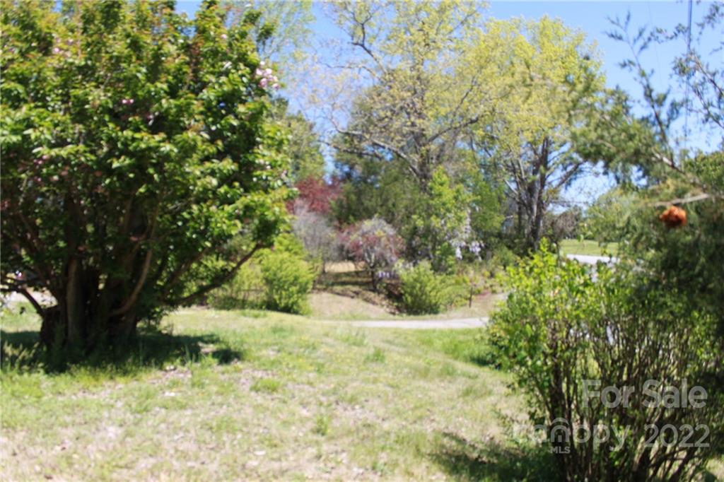 530 Edwards St Extension Rutherfordton, NC 28139 - Photo 14 of 48 a view of a yard with plants and large trees