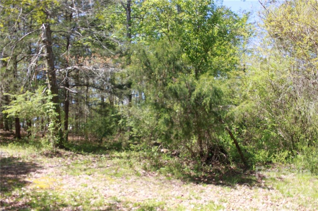 530 Edwards St Extension Rutherfordton, NC 28139 - Photo 33 of 48 a view of a yard with a tree