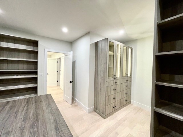 246 Forest Street Needham, MA 02492 - Photo 18 of 32 a view of walk in closet with empty racks