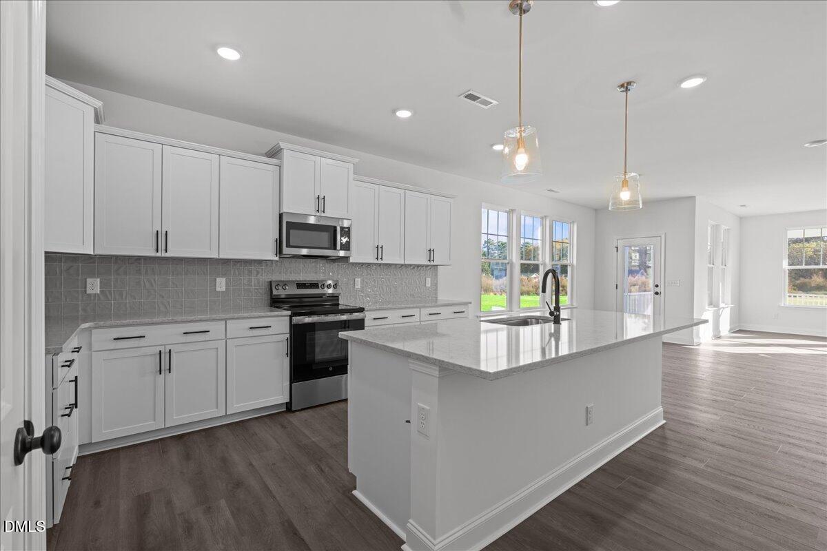 1076 Channel Drop Loop Zebulon, NC 27597 - Photo 16 of 67 22-DSC07272