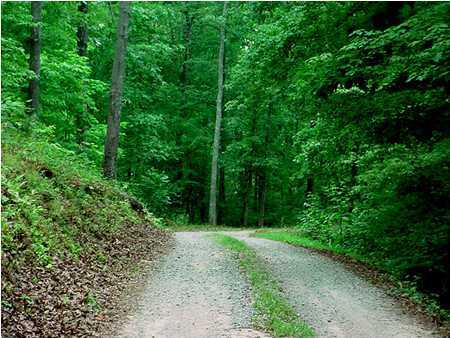 216 Coffman Springs Road LaFayette, GA 30728 - Photo 2 of 9 Additional Photo